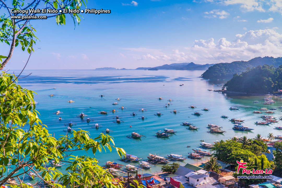 Canopy Walk El Nido